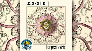 Reversed Logic - Crystal Spirit