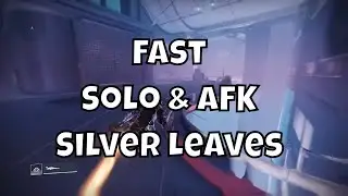 Fast Solo & AFK Silver Leaves Solstice 2023
