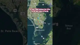 These are three of the short flights in Florida #shorts #florida #flight