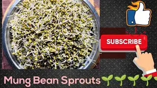 Healthy & Tasty Mung Bean Sprouts Curry || Sprouts Curry 