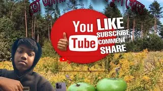 এটা কি গাছ 🍏#ভাইরাল #ভিডিও