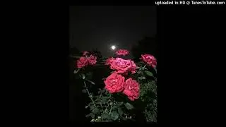 *FREE* jaydes x samrecks x monsune type beat - 