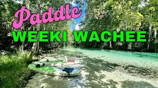 Paddling Weeki Wachee River: A Relaxing Trip In Florida