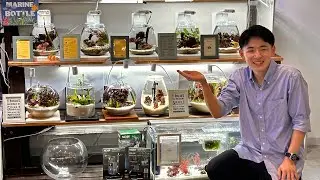 マリンボトルの極み！海浜幕張店ショートマンTV!