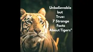 Unbelievable but True: 7 Strange Facts About Tigers