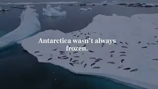 When the Ocean Changed, Only Some Fish Survived