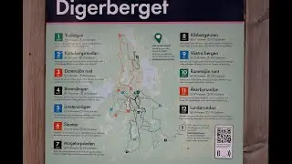 Digerberget - Rammsjön runt mtb 10 grön