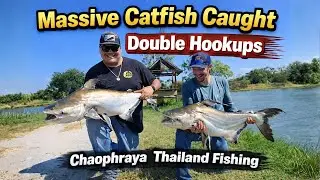 Thailand Fishing Adventure - Massive Catfish Caught!