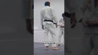 &iquest;Qu&eacute; significa realmente ser cinta negra en Jiu-Jitsu? #bjjtripping #bjj