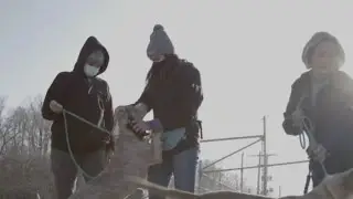 The dedicated group working to rescue abandoned pets across the country