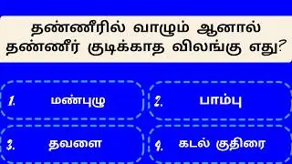 🎓 Tamil GK Quiz | Brain Challenge & Memory Boost | Episode 26