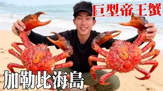 加勒比海島荒島生存挑戰第一天！深潛抓到巨型帝王蟹，真是太美味了！【探索兄弟】