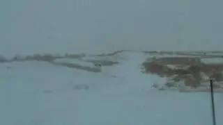 Tannerite vs HP38 powder vs Dryer