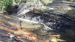 Charles Darwin walk- Jamison creek, Wentworth falls,  Australia