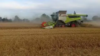 Žatva 2025|Donau Farm Semat|2xClaas Lexion|2xJCB|John Deere