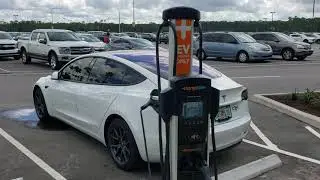 Станция зарядки электромобилей Tesla в Walt Disney World
