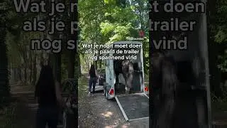 ls jouw paard de trailer vertrouwt, loopt hij er vaak gewoon in.