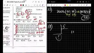 Natural ededler | 9-cu sinif test izahi | DİM