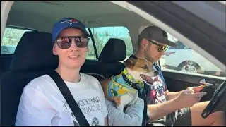 Ogden Utah Dog Training | Salt Lake City Dog Training | &ldquo;Reactive 14 year old Jack Russell