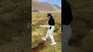#Pugavalley#ladakh #trending #shorts #shortvideo #travel #leh #puga