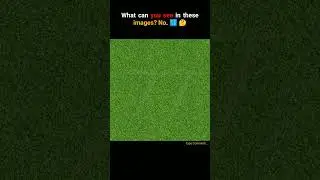 Guess The Number...👀 77 #quiz #facts #fact #quiztime  #Viral #shorts