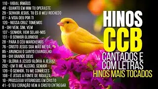 🙏 HINOS CCB DE CONSOLAÇÃO 🌿 LOUVORES QUE FORTALECEM NA PROVA E TRAZEM REFRIGÉRIO À ALMA AFLITA 🎶