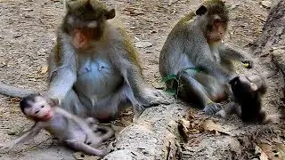 Sadly Life Alba was born with Bad mother No loving | Alba got Deep Hurt by bad Mom every days