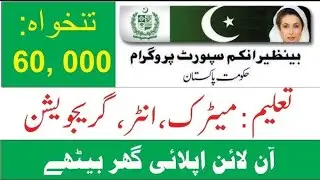 BISP Jobs 2025]DEE&SD]Online apply method