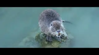 Alba Adriatica 2021
