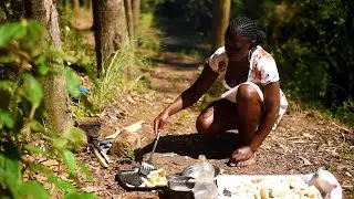SOLO GIRL CAMPING IN THE RAIN FOREST |MORNING CAMPING | NATURE ASMR