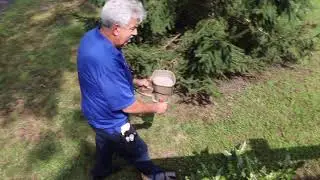 New Homeowner Has Ants in Silverton, NJ