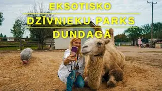 Dundegas Zoo / Eksotisko dzīvnieku parks Dundagā