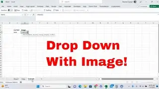 How to Use the IMAGE Function in Excel to Insert Images From Online! Drop Down List With Images