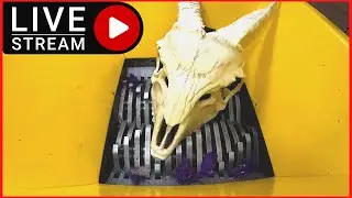 Уничтожение вещей вживую