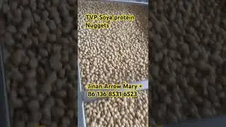 Soya protein extruder machine TVP Extruder machine lines Soya nuggets extrusion machinery working