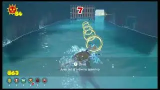 Bowsers Fury - Plessie Ring Cat Shine - Hurry! Dash and Dive!