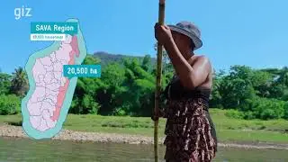 Madagascar: Home of vanilla production