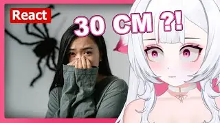 Konfrontationstherapie gegen Arachnophobie | Moki React