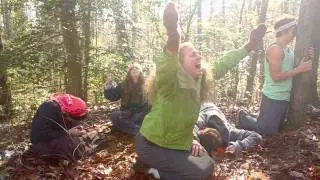 Hippies- Crying Over Dead Trees