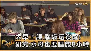 太早上課.腦袋還沒醒! 研究:水母也要睡飽8小時｜方念華｜FOCUS全球新聞20260119 @TVBSNEWS01