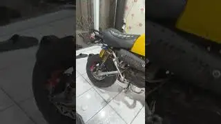 #minibike #hondamonkey #motorgorilla #minicustombike #custombike
