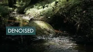 Field Recording - Mic Self Noise Reduction - New Denoiser Performance Test