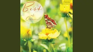 Concerto No. E Major, RV. 269 Fr&uuml;hling - Spring: Allegro