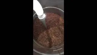 FVC-1 Roasted Coffee Beans Conveying