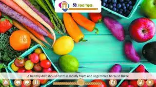 Ch 59 | Brain Storm | GK | Class 4 | Food Types | For children
