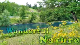 Nature Beauty  (Autumn 2020)