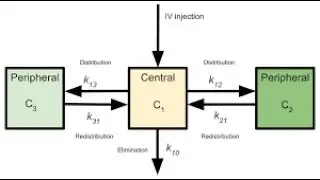 Pharmacokinetics  Part XX: Non Compartment Models: As per VCI  Syllabus 2016   Dr N B Shridhar