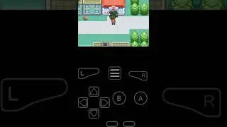 Pokemon radical red cheat code for rare candy and shiny Pokemon 4.1