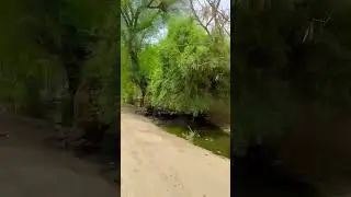 ⚘️यह वीडियो को देखकर किस किस को अपना वचपन याद आया ?⚘️