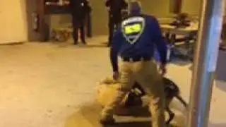 K-9 Boru handler protect and muzzle fight.